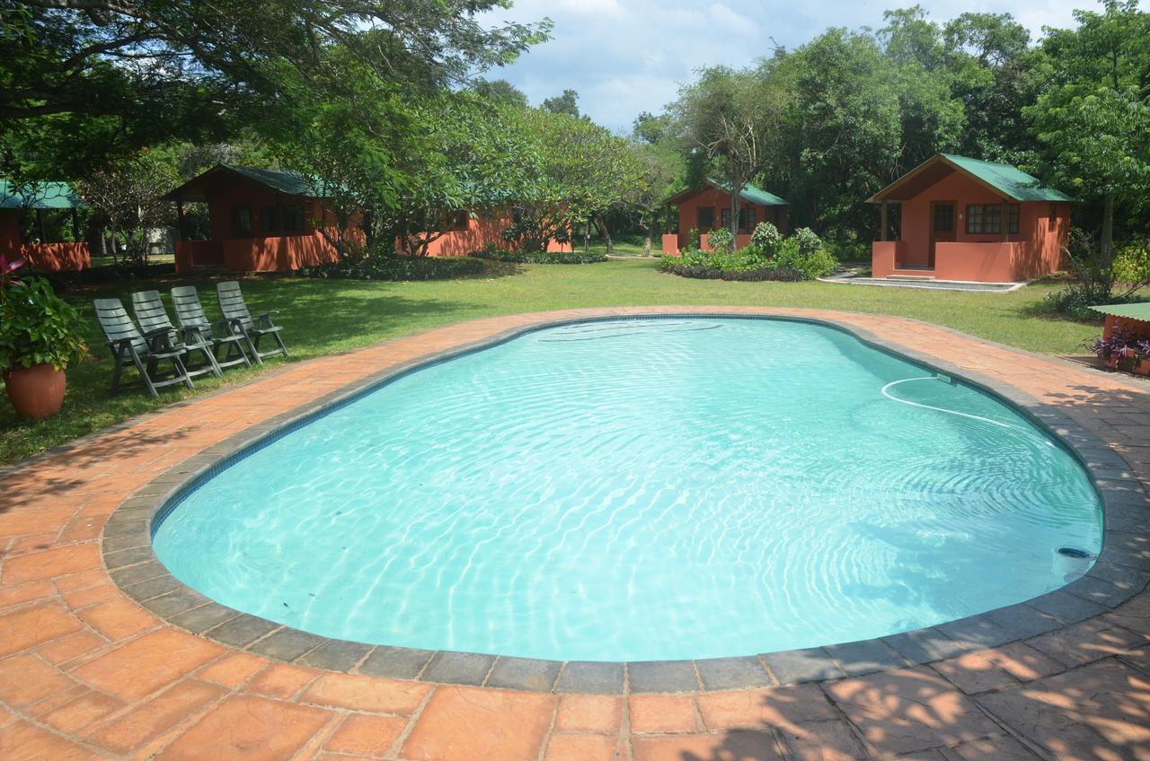 Bushbaby Lodge & Camping Hluhluwe Extérieur photo