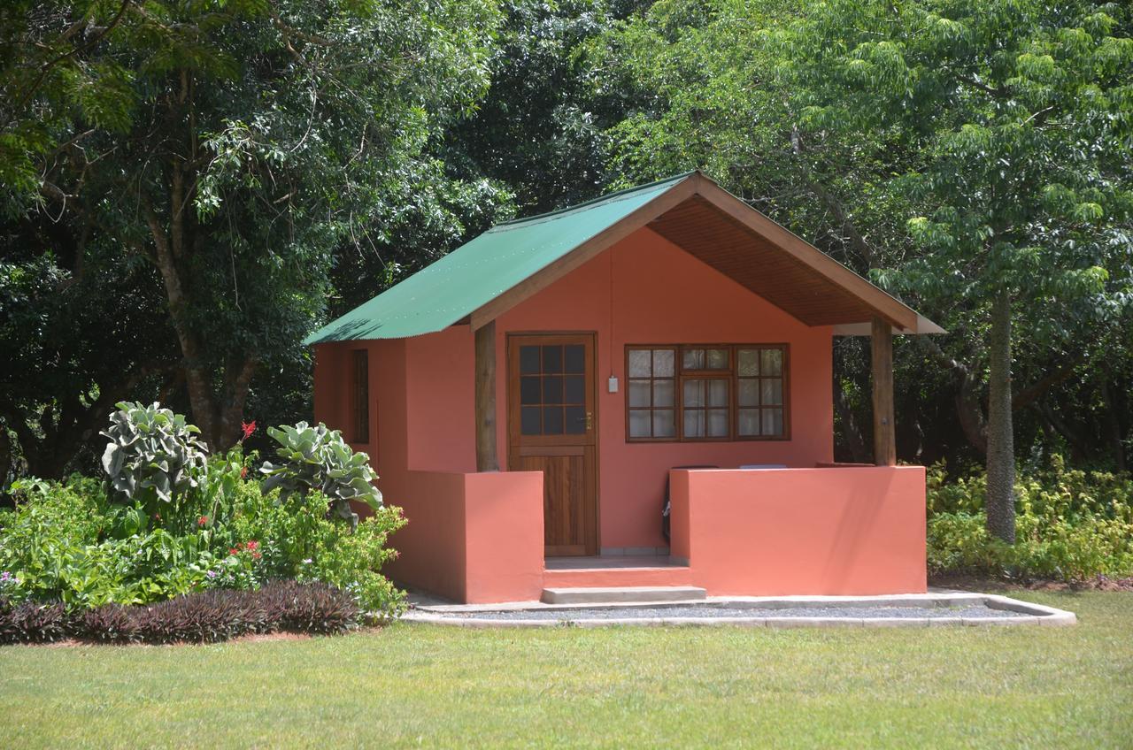 Bushbaby Lodge & Camping Hluhluwe Extérieur photo