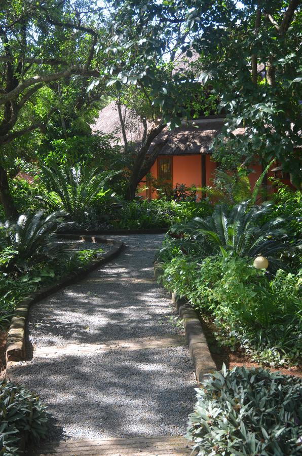 Bushbaby Lodge & Camping Hluhluwe Extérieur photo
