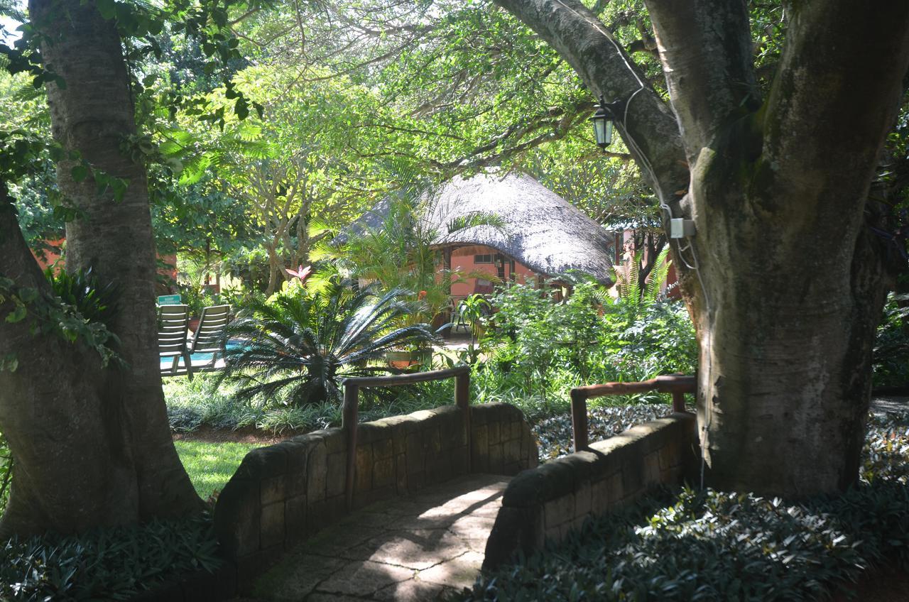 Bushbaby Lodge & Camping Hluhluwe Extérieur photo