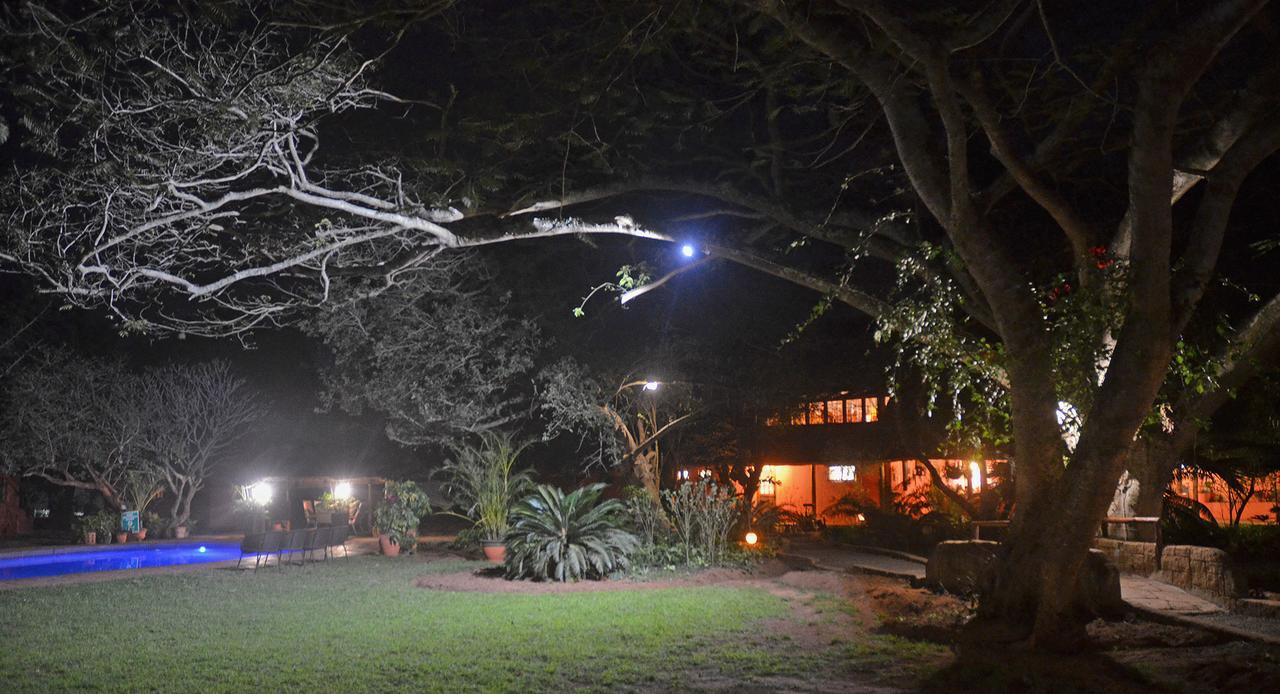 Bushbaby Lodge & Camping Hluhluwe Extérieur photo