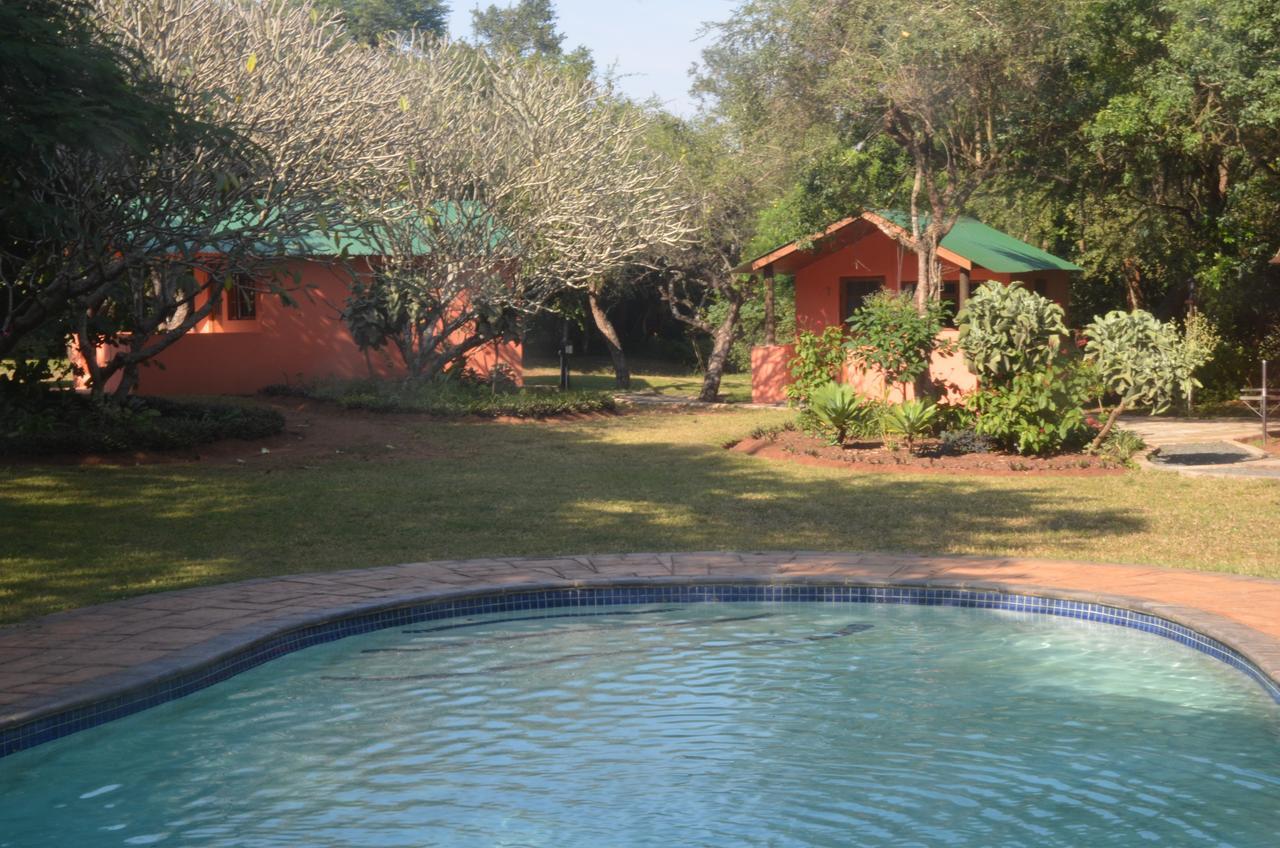 Bushbaby Lodge & Camping Hluhluwe Extérieur photo